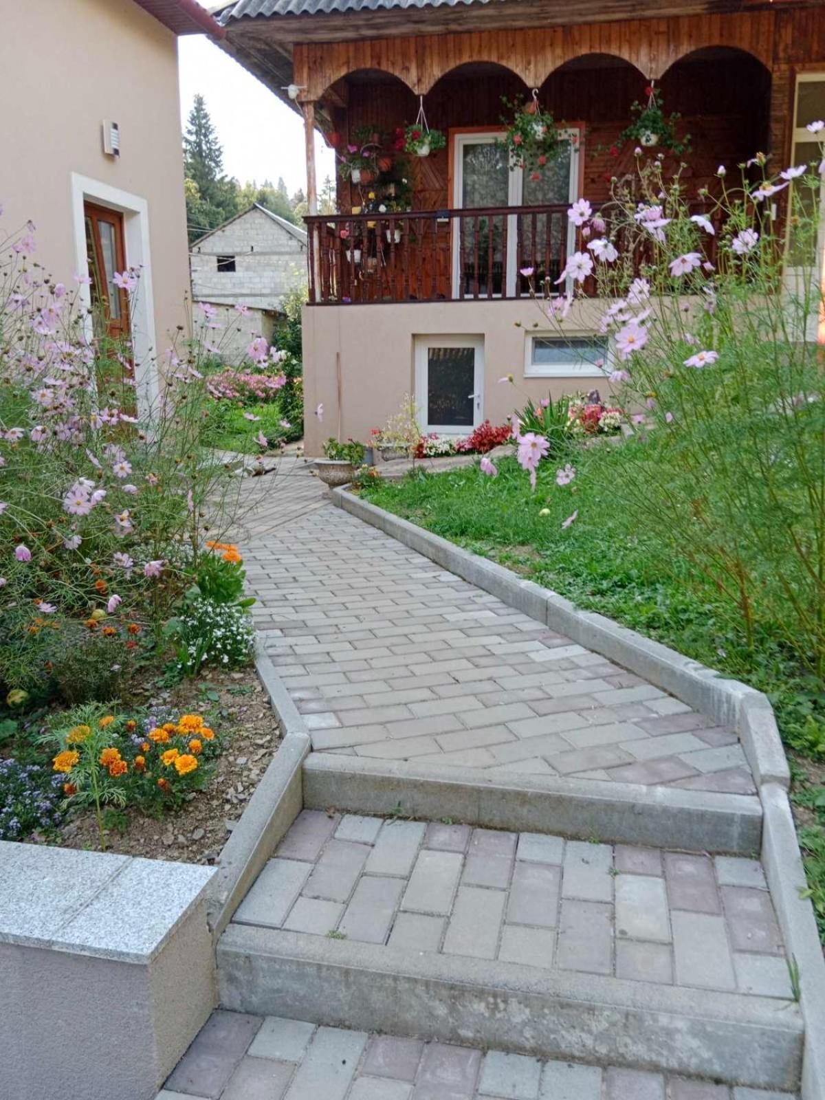 House Holiday home *
