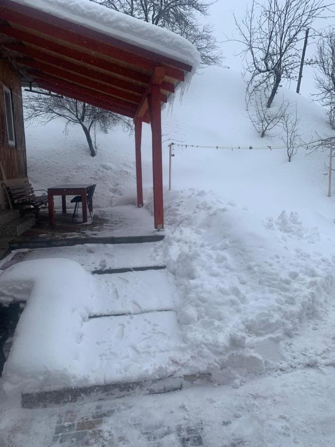 House * Podobovets